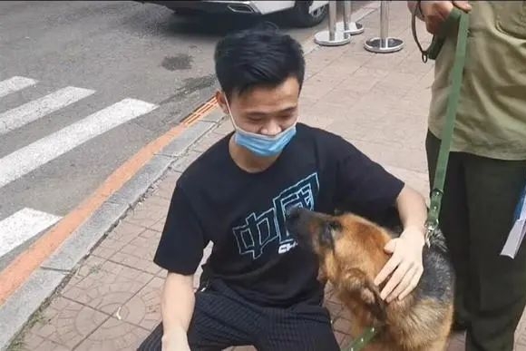 淘汰犬最高拍出33万(中国刑事警察官网淘汰犬)